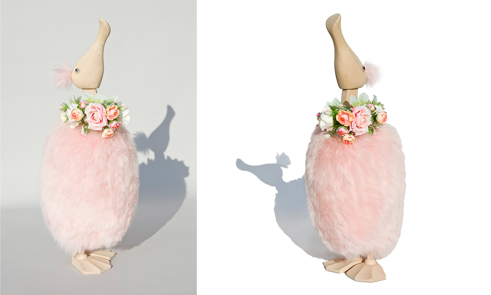 Foto vs Foto_Gans_rosa_best